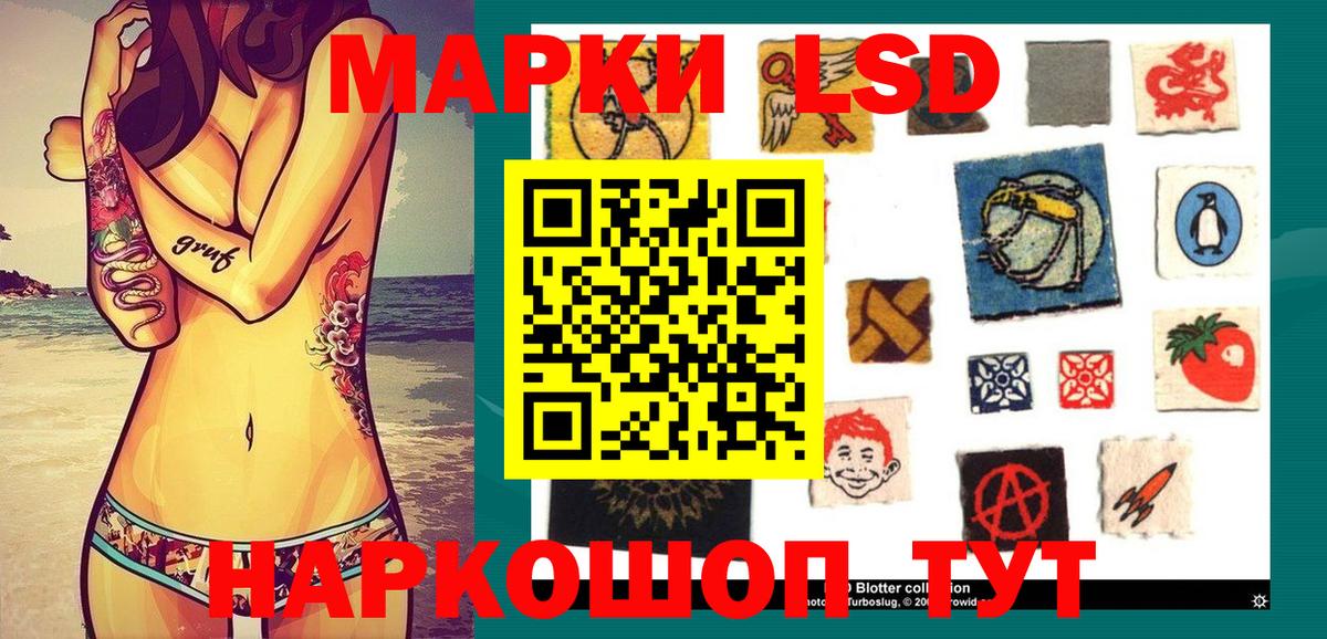 Бошки Шишки Дедовск