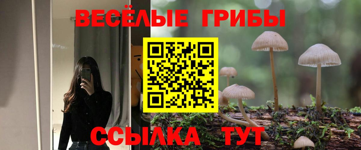 Галлюциногенные грибы ЛСД  где найти   Дедовск  Вход с VPN 